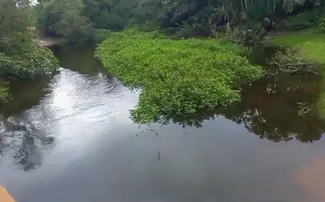 Fazenda com 8.000 Hectares - Chapada Gacha/MG