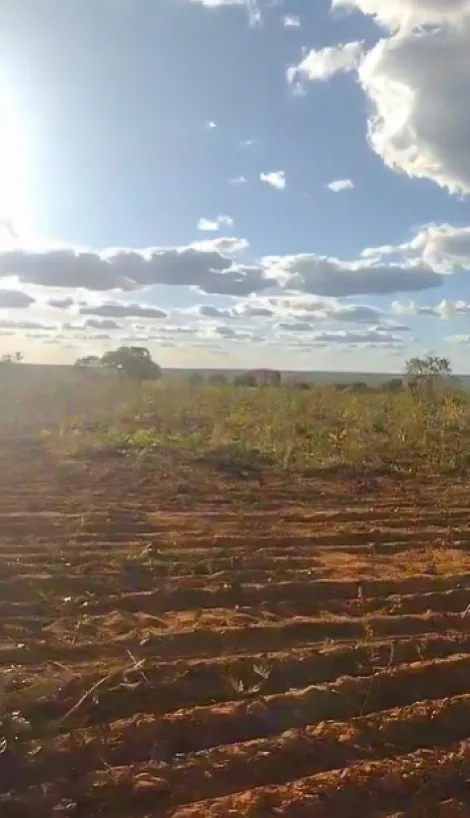 Fazenda com 8.000 Hectares - Chapada Gaúcha/MG