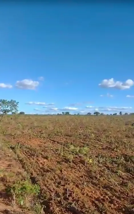 Fazenda com 8.000 Hectares - Chapada Gaúcha/MG