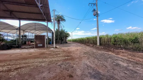 imagem 1 - Área Comercial com 2.374 Hectares - Rio Claro/SP imagem 1 - Área Comercial com 2.374 Hectares - Rio Claro/SP