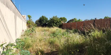 imagem 1 - Terreno, 387 m² - Vila Martins, Rio Claro/SP imagem 1 - Terreno, 387 m² - Vila Martins, Rio Claro/SP