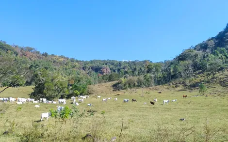 imagem 1 - Sítio em Itirapina / Itaqueri da Serra SP imagem 1 - Sítio em Itirapina / Itaqueri da Serra SP