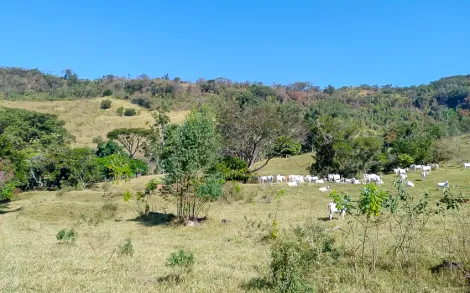 imagem 2 - Sítio em Itirapina / Itaqueri da Serra SP imagem 2 - Sítio em Itirapina / Itaqueri da Serra SP