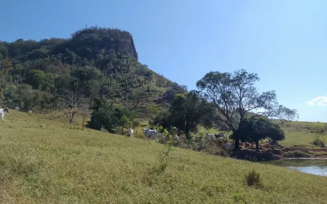 imagem 4 - Sítio em Itirapina / Itaqueri da Serra SP imagem 4 - Sítio em Itirapina / Itaqueri da Serra SP