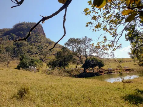imagem 3 - Sítio com 9 alq. paulista, Itirapina, Itaqueri da Serra/SP imagem 3 - Sítio com 9 alq. paulista, Itirapina, Itaqueri da Serra/SP