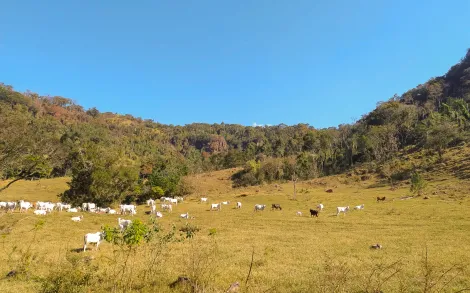 imagem 1 - Sítio Itirapina / Itaqueri da Serra SP imagem 1 - Sítio Itirapina / Itaqueri da Serra SP