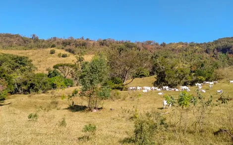 imagem 2 - Sítio Itirapina / Itaqueri da Serra SP imagem 2 - Sítio Itirapina / Itaqueri da Serra SP