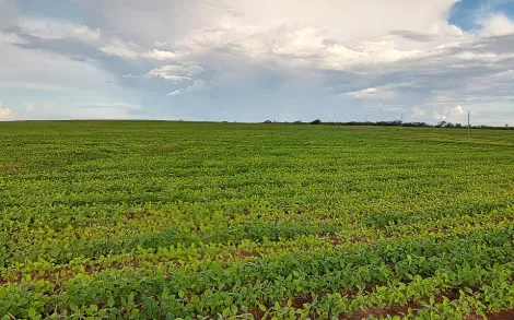 Sao Goncalo do Abaete Ferraz Rural Venda R$50.000.000,00  Area do terreno 9600000.00m2 