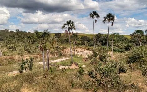 imagem 3 - Fazenda em Luizlândia MG imagem 3 - Fazenda em Luizlândia MG