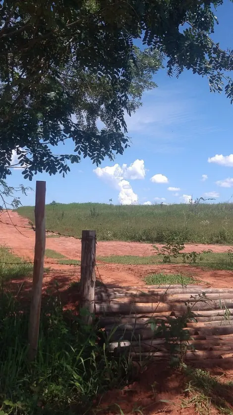 imagem 1 - Fazenda Região de Votuporanga SP imagem 1 - Fazenda Região de Votuporanga SP