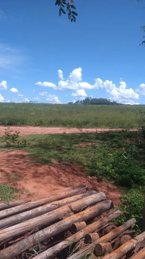 imagem 2 - Fazenda Região de Votuporanga SP imagem 2 - Fazenda Região de Votuporanga SP