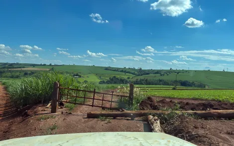 imagem 2 - Área Rural com 1 aql. - Ipeúna/SP imagem 2 - Área Rural com 1 aql. - Ipeúna/SP