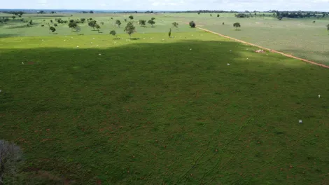 imagem 2 - Fazenda com 940 alq. - Área Rural, Araguaçu/TO imagem 2 - Fazenda com 940 alq. - Área Rural, Araguaçu/TO