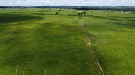 imagem 4 - Fazenda com 940 alq. - Área Rural, Araguaçu/TO imagem 4 - Fazenda com 940 alq. - Área Rural, Araguaçu/TO