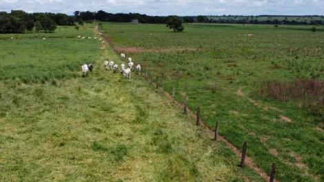 imagem 5 - Fazenda com 940 alq. - Área Rural, Araguaçu/TO imagem 5 - Fazenda com 940 alq. - Área Rural, Araguaçu/TO