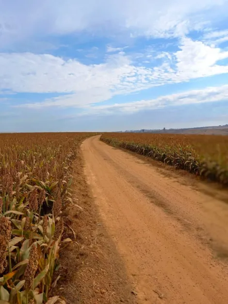 imagem 4 - Fazenda com 43,50 alq. - Área Rural, Perdizes/MG imagem 4 - Fazenda com 43,50 alq. - Área Rural, Perdizes/MG