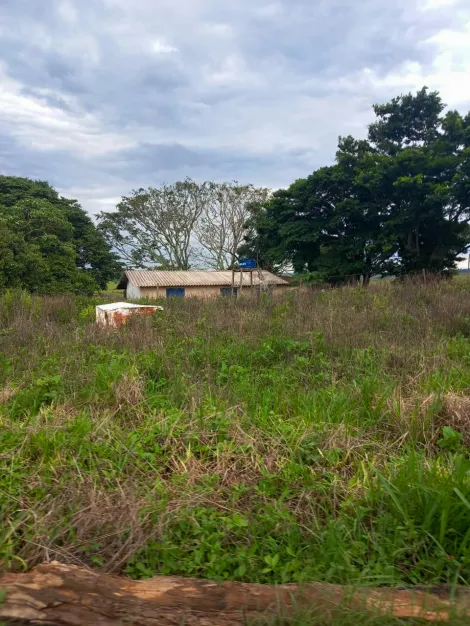 imagem 5 - Fazenda com 43,50 alq. - Área Rural, Perdizes/MG imagem 5 - Fazenda com 43,50 alq. - Área Rural, Perdizes/MG