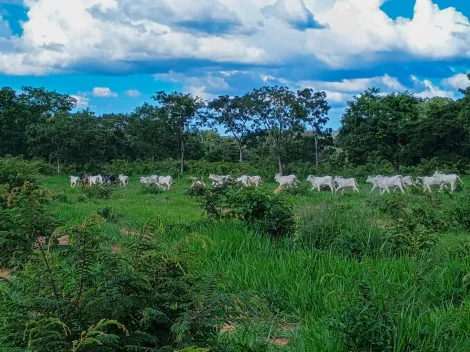 imagem 3 - Fazenda com 376 hectare, Área Rural, Canabrava do Norte/MT imagem 3 - Fazenda com 376 hectare, Área Rural, Canabrava do Norte/MT