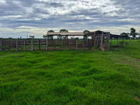 imagem 2 - Fazenda com 24,27 alq. - Área Rural, União de Minas/MG imagem 2 - Fazenda com 24,27 alq. - Área Rural, União de Minas/MG