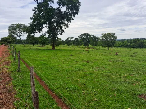imagem 3 - Fazenda com 24,27 alq. - Área Rural, União de Minas/MG imagem 3 - Fazenda com 24,27 alq. - Área Rural, União de Minas/MG