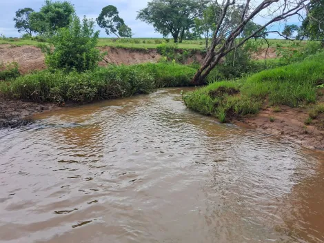 imagem 5 - Fazenda com 24,27 alq. - Área Rural, União de Minas/MG imagem 5 - Fazenda com 24,27 alq. - Área Rural, União de Minas/MG