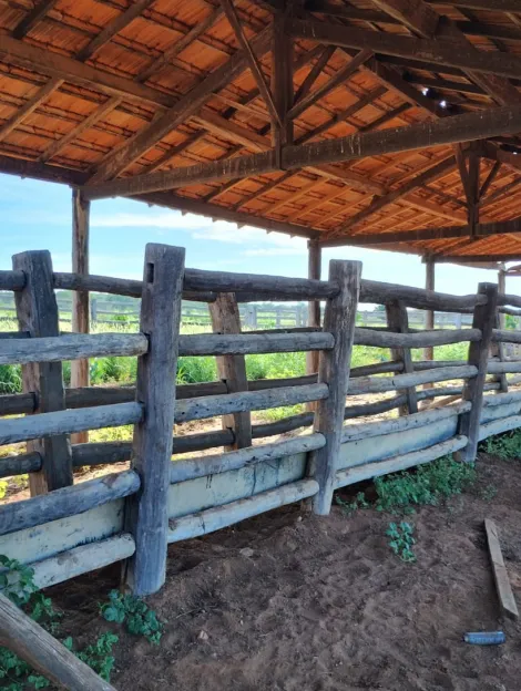 imagem 5 - Fazenda com 836 alq. Área Rural, Jaiba/MG imagem 5 - Fazenda com 836 alq. Área Rural, Jaiba/MG