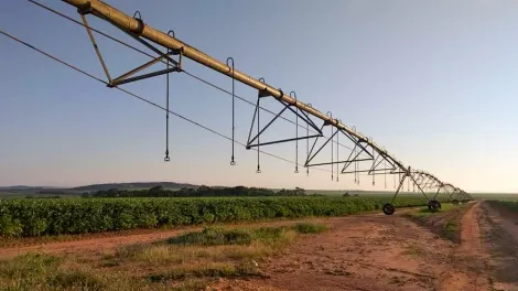 imagem 1 - Fazenda com 54 alq. - Área rural, Hidrolândia/GO imagem 1 - Fazenda com 54 alq. - Área rural, Hidrolândia/GO