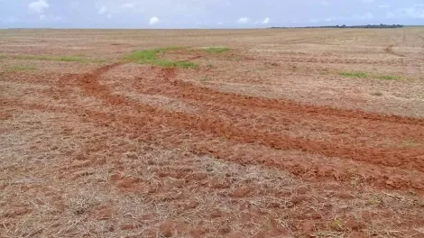 imagem 2 - Fazenda com 54 alq. - Área rural, Hidrolândia/GO imagem 2 - Fazenda com 54 alq. - Área rural, Hidrolândia/GO