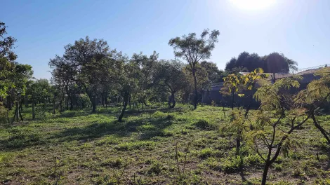 imagem 2 - Terreno com 1.000 m²- Planalto da Serra Verde, Itirapina/SP imagem 2 - Terreno com 1.000 m²- Planalto da Serra Verde, Itirapina/SP