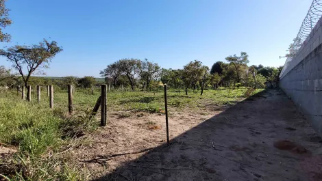 imagem 5 - Terreno com 1.000 m²- Planalto da Serra Verde, Itirapina/SP imagem 5 - Terreno com 1.000 m²- Planalto da Serra Verde, Itirapina/SP