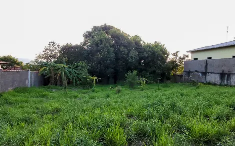 imagem 1 - Terreno com 1.054 m² - Portal dos Nobre, Ipeúna/SP imagem 1 - Terreno com 1.054 m² - Portal dos Nobre, Ipeúna/SP