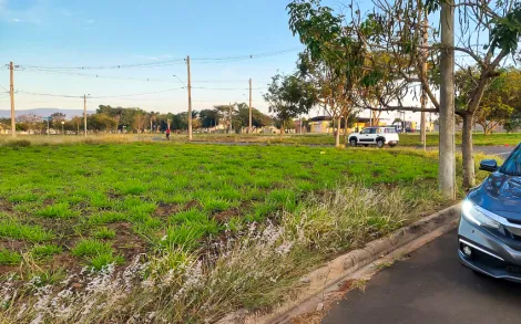 imagem 1 - Terreno com 250 m² - Jardim Das Orquídeas, Ipeúna/SP imagem 1 - Terreno com 250 m² - Jardim Das Orquídeas, Ipeúna/SP