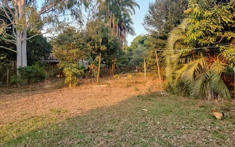 imagem 1 - Rural - Sítio imagem 1 - Rural - Sítio