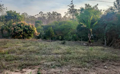 imagem 4 - Rural - Sítio imagem 4 - Rural - Sítio