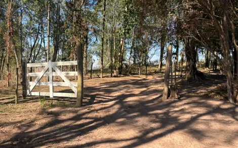 imagem 1 - Rural - Sítio imagem 1 - Rural - Sítio