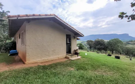 imagem 2 - Sítio com 53.821,68 m² - Ipeúna/SP imagem 2 - Sítio com 53.821,68 m² - Ipeúna/SP