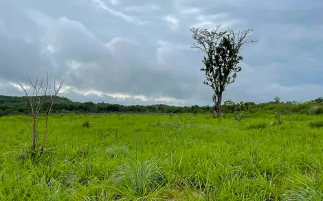 imagem 1 - Fazenda com 284,5 Alqueires - Região norte do estado do Tocantins. imagem 1 - Fazenda com 284,5 Alqueires - Região norte do estado do Tocantins.