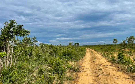 imagem 4 - Fazenda com 284,5 Alqueires - Região norte do estado do Tocantins. imagem 4 - Fazenda com 284,5 Alqueires - Região norte do estado do Tocantins.