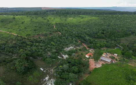 imagem 2 - Fazenda com 771 Hectares - João Pinheiro/MG imagem 2 - Fazenda com 771 Hectares - João Pinheiro/MG