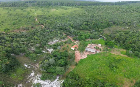 imagem 4 - Fazenda com 771 Hectares - João Pinheiro/MG imagem 4 - Fazenda com 771 Hectares - João Pinheiro/MG