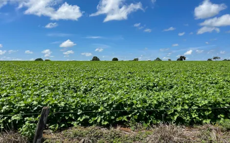 imagem 1 - Fazenda com 92,35 Alqueires Mineiro - Arinos/MG imagem 1 - Fazenda com 92,35 Alqueires Mineiro - Arinos/MG