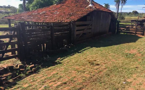 imagem 2 - Fazenda com 38 Alqueires Mineiro - Santa Vitória/MG imagem 2 - Fazenda com 38 Alqueires Mineiro - Santa Vitória/MG