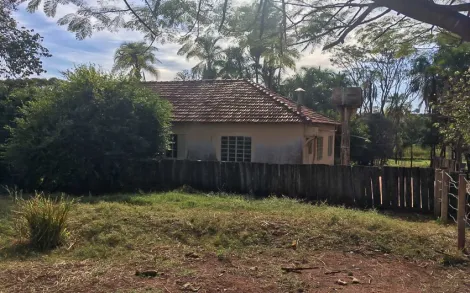 imagem 5 - Fazenda com 38 Alqueires Mineiro - Santa Vitória/MG imagem 5 - Fazenda com 38 Alqueires Mineiro - Santa Vitória/MG