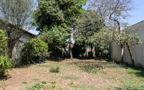 imagem 1 - Terreno - Padrão imagem 1 - Terreno - Padrão