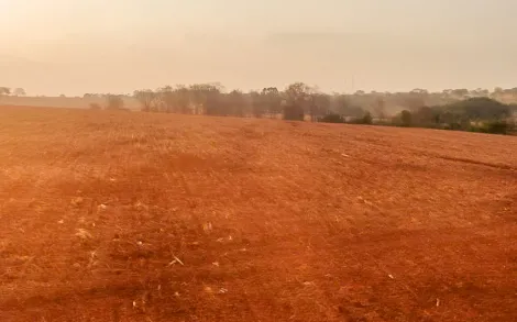 imagem 1 - Fazenda com 31 Alqueires Mineiro - Ipameri/GO imagem 1 - Fazenda com 31 Alqueires Mineiro - Ipameri/GO