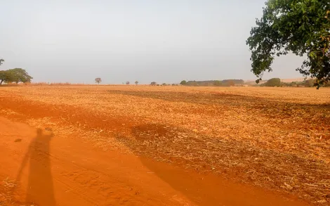 imagem 3 - Fazenda com 31 Alqueires Mineiro - Ipameri/GO imagem 3 - Fazenda com 31 Alqueires Mineiro - Ipameri/GO