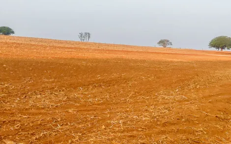 imagem 4 - Fazenda com 31 Alqueires Mineiro - Ipameri/GO imagem 4 - Fazenda com 31 Alqueires Mineiro - Ipameri/GO