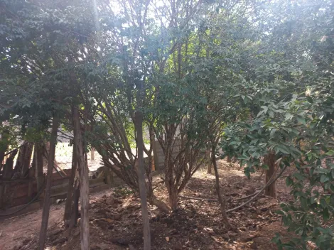 imagem 1 - Terreno - Padrão imagem 1 - Terreno - Padrão