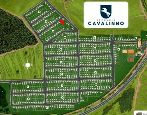 imagem 1 - Terreno no Condomínio Estancia Cavalinno à venda, 420 m² - Analândia/SP imagem 1 - Terreno no Condomínio Estancia Cavalinno à venda, 420 m² - Analândia/SP