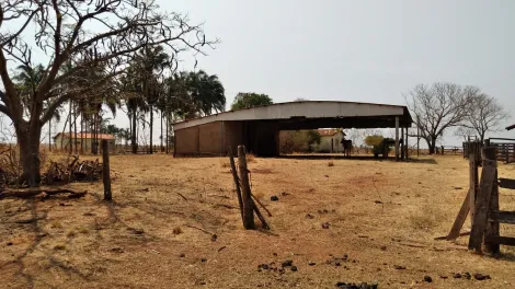 imagem 5 - Fazenda em Cordeirinho MG imagem 5 - Fazenda em Cordeirinho MG
